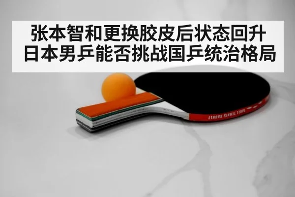 table tennis paddle rubber